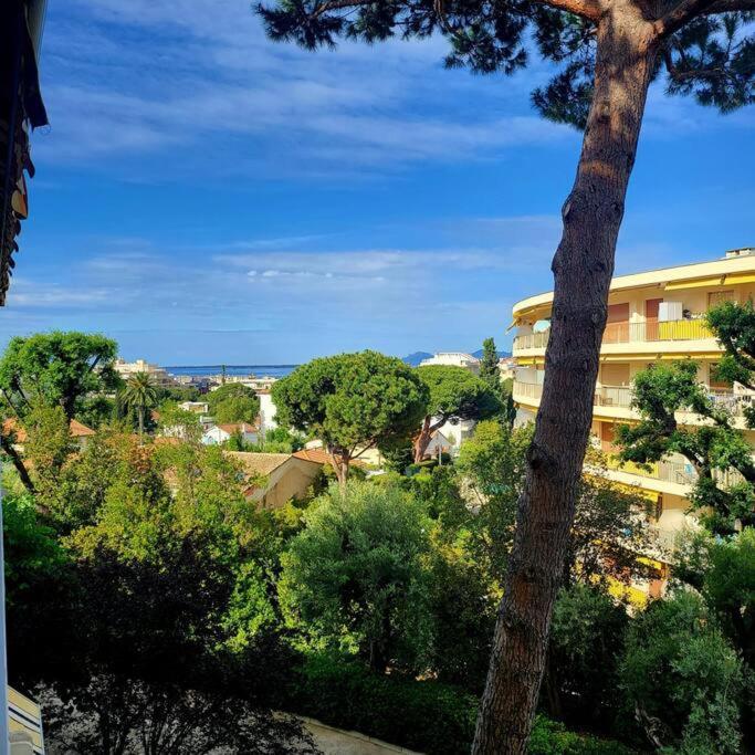 Grand Studio Localisation Ideale Antibes Kültér fotó